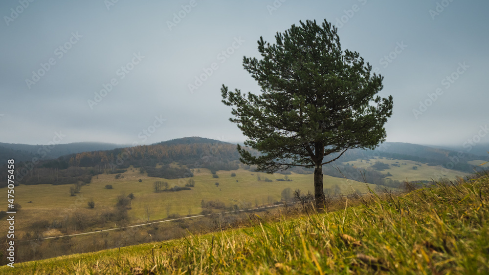 Obraz premium low Beskid in autumn, mountains panorama sunny weather, mountains trees clouds blue sky, end of summer in the mountains, fog mountain tourism, walk in the mountains