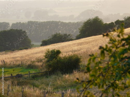 Spätsommer, late summer, Landschaft, landscape