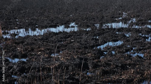 Burnt field. Burned and dark land surface.