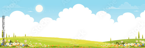 Spring green fields landscape with mountain, blue sky and clouds background,Panorama peaceful rural nature in springtime with green grass land. Cartoon vector illustration for spring and summer banner
