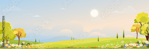 Spring green fields landscape orang, blue sky and clouds background,Panorama peaceful rural nature in springtime with green grass land in morning. Cartoon vector for spring and summer banner