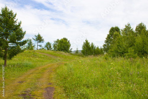 A country road in a wooded area leading to a hill. Summer landscape.