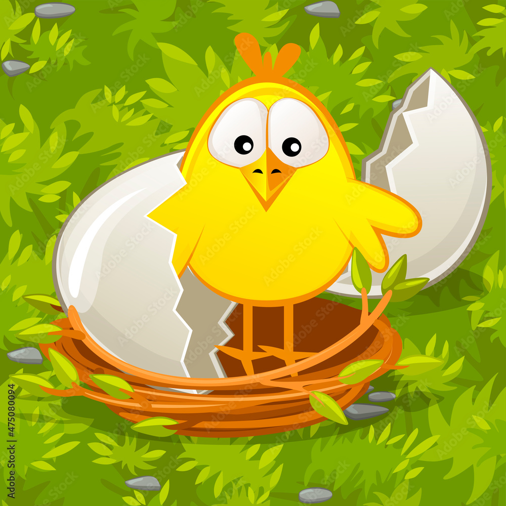 Fototapeta premium Newborn chick from an egg in nest on grass.