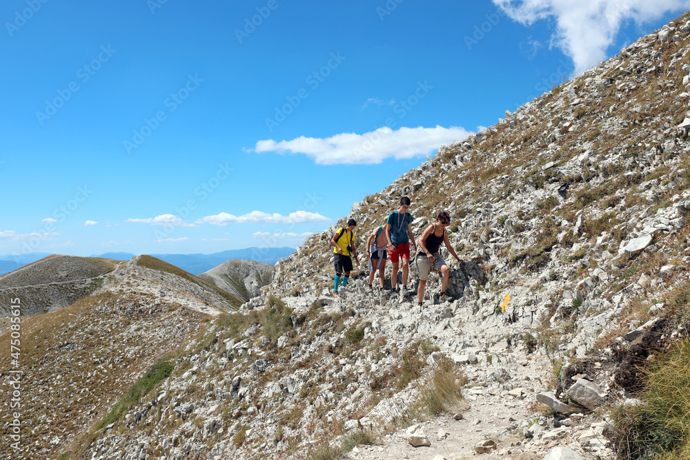 family with mother and three children walking on the slopes of the mountain