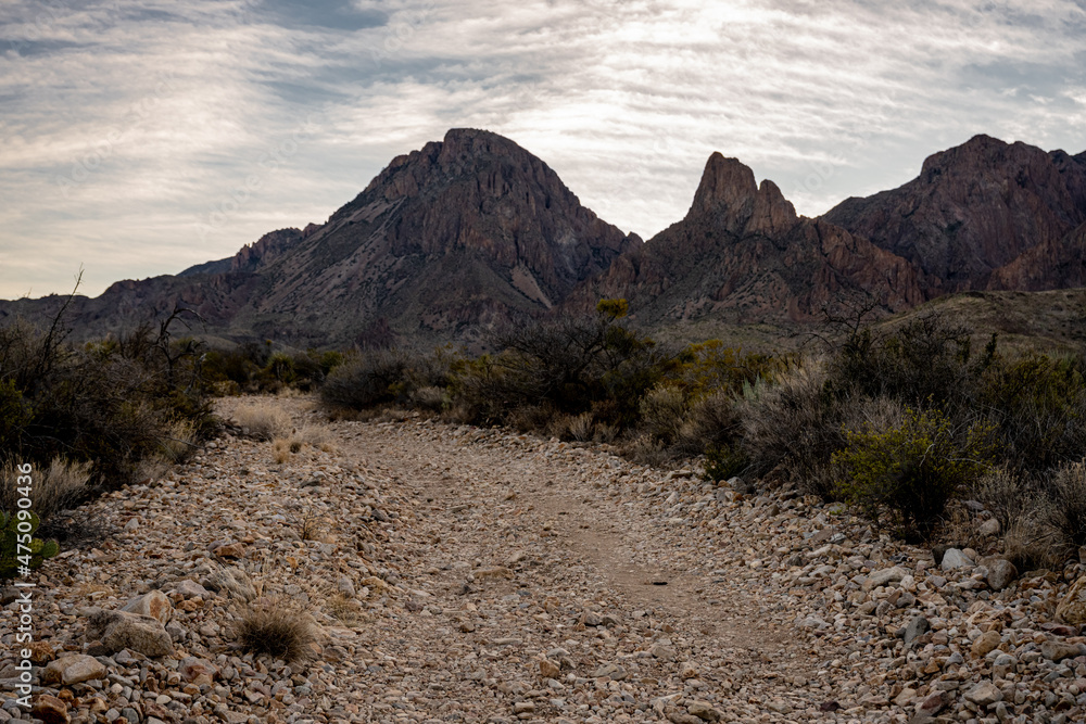 Early Morning on Rocky Trail Toward the Chisos Mountains