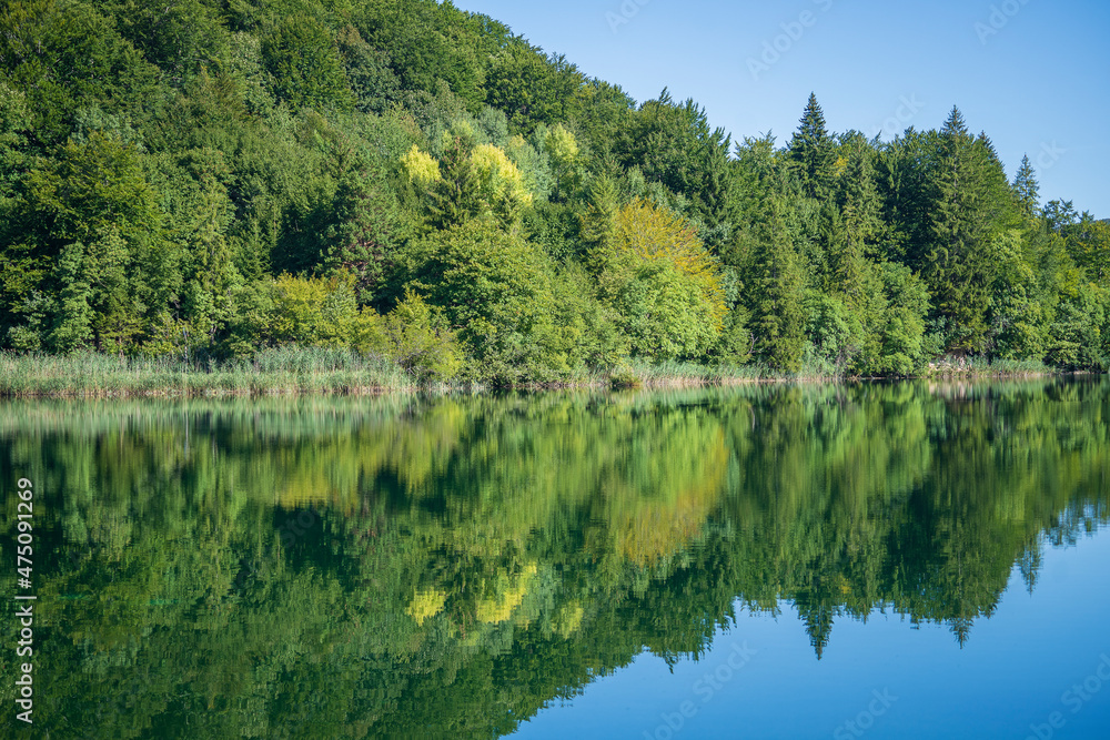 Wonderful view of the Plitvice Lakes National Park. Croatia Wonderful view of the Plitvice Lakes National Park. Croatia