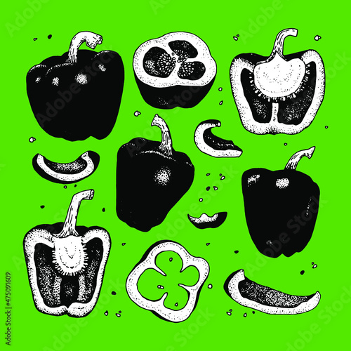 Black and white sketch of sweet pepper on a green background