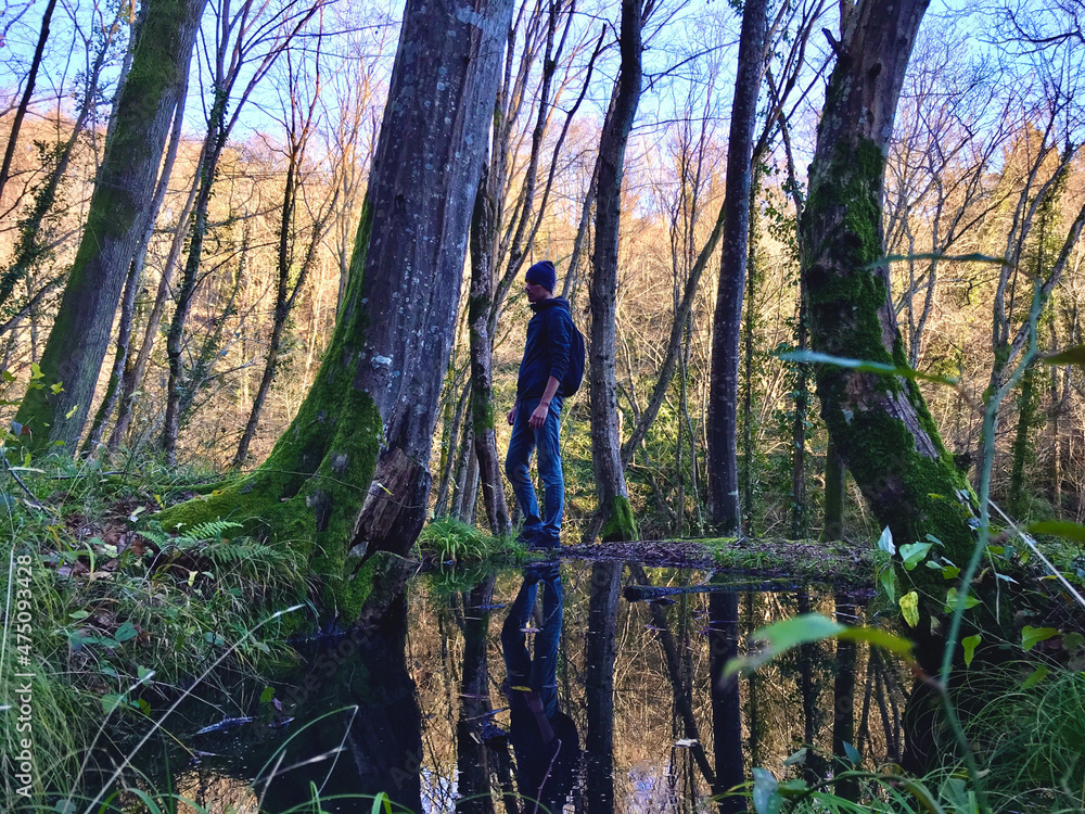 Young male in forest. Beautiful view of trees reflection in the puddle after rain. Stunning landscape in autumn forest. Outdoor concept. Pure clean nature. Scenery reflection on water. Non-urban lands Young male in forest. Beautiful view of trees reflection in the puddle after rain. Stunning landscape in autumn forest. Outdoor concept. Pure clean nature. Scenery reflection on water. Non-urban lands