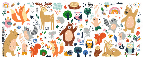 Isolated set with cute woodland forest animals in cartoon style. Ideal kids design, for fabric, wrapping, textile, wallpaper, apparel © Angelina De Sol
