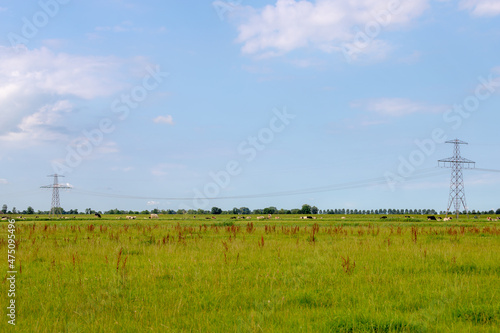 Electric high voltage pole with green meadow with blue sky background, Dutch countryside polder in summer, Transmission line pylon lattice tower with a group of cows on the grass field, Netherlands. © Sarawut