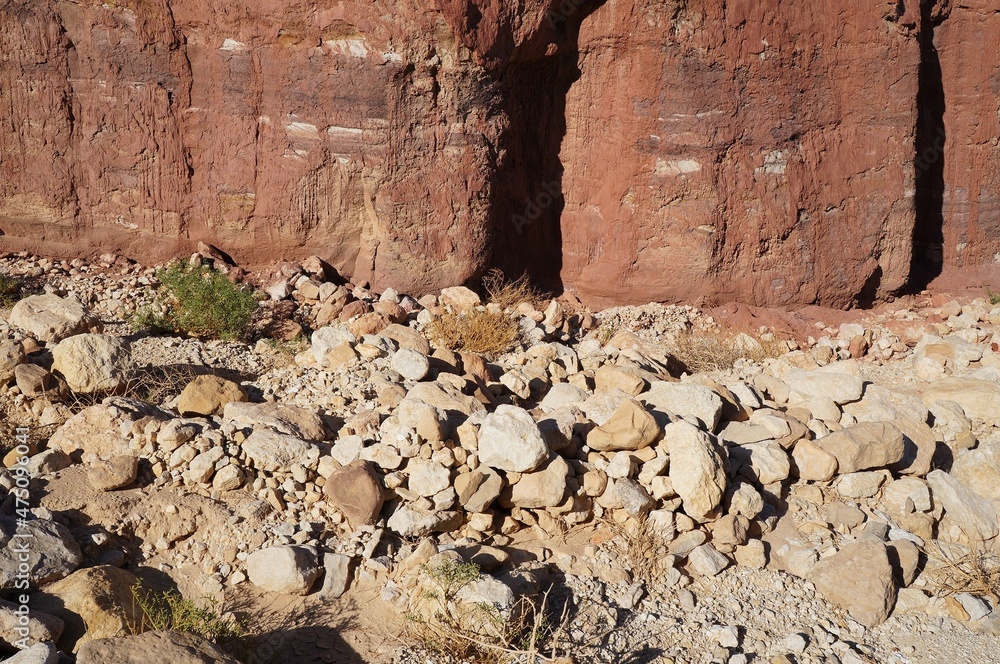 Fototapeta premium Ruins of ancient house wall in the desert