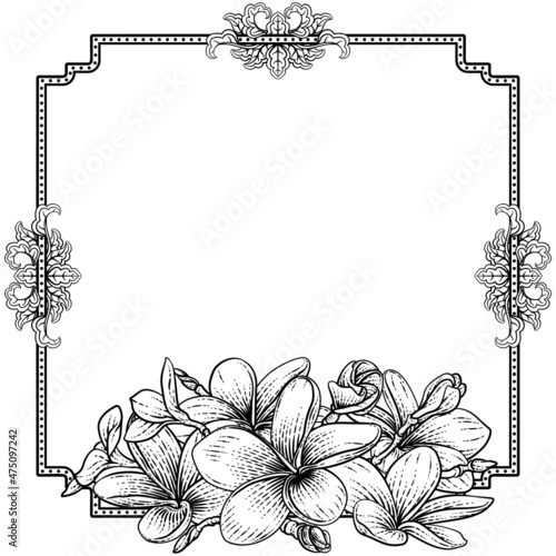 Plumeria Frangipani Tropical Flower Funeral Invite