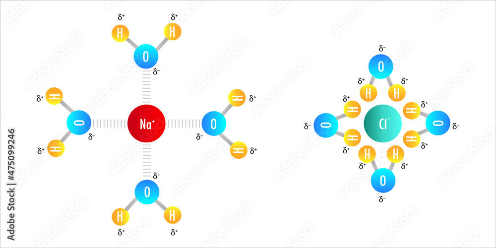 Ion dipole interaction hydration, chemistry lesson dipole subject Stock ...