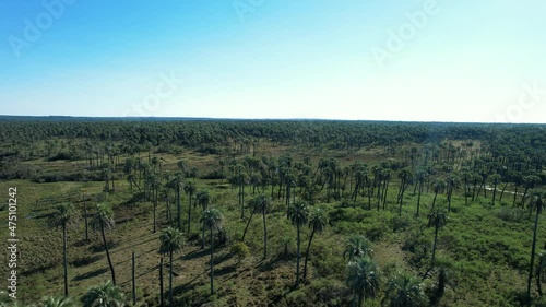 El Palmar National Park, one of Argentina's national parks, located in the center west of the Entre Rios province