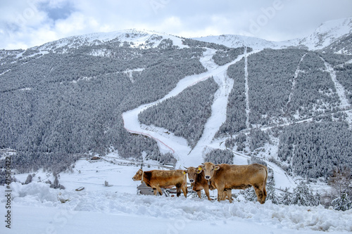 principallity of andorra winter landscapes and villages photo