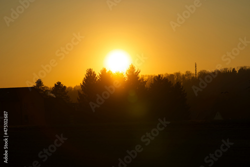 Wallpaper Mural Orange sun fireball with silhouettes of trees and antenna near the airport on a sunny winter evening. Photo taken December 13th, 2021, Zurich, Switzerland. Torontodigital.ca
