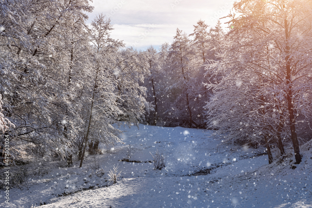 Winter landscape with snow covered trees. Sunny frosty day Winter landscape with snow covered trees. Sunny frosty day