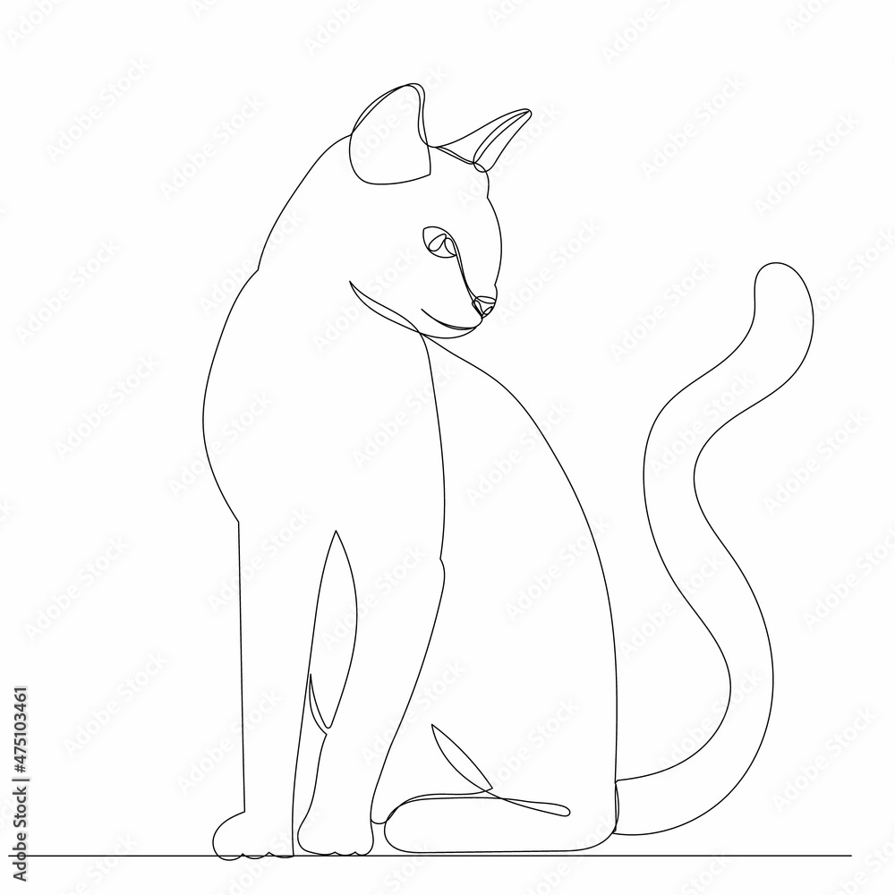 cat, drawing by one continuous line, sketch cat, drawing by one continuous line, sketch