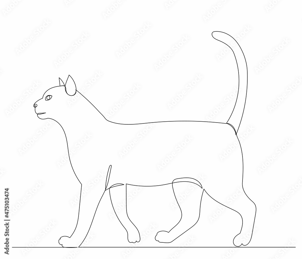 cat, drawing by one continuous line, sketch, vector