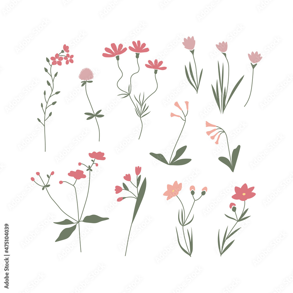 Vector color hand drawn illustration with pink flowers set. Big collection of minimalist wildflowers. For logo design, tattoo, postcard
