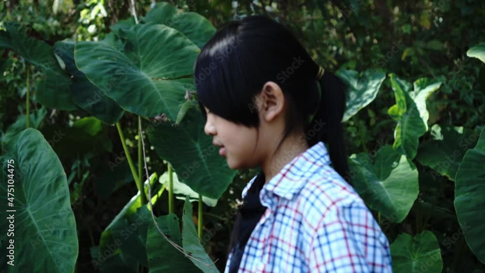 girl children walking through the forest girl children walking through the forest
