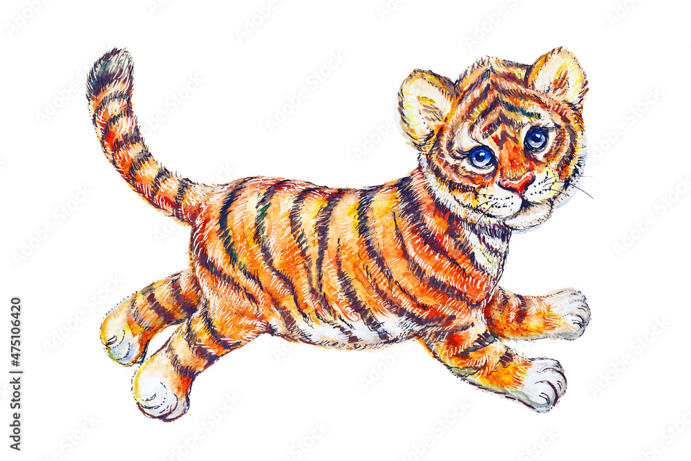 Wild animals funny character - baby tiger. Watercolor painting isolated on white