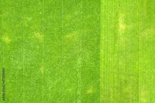 Close up aerial view of surface of green freshly cut grass on football stadium in summer