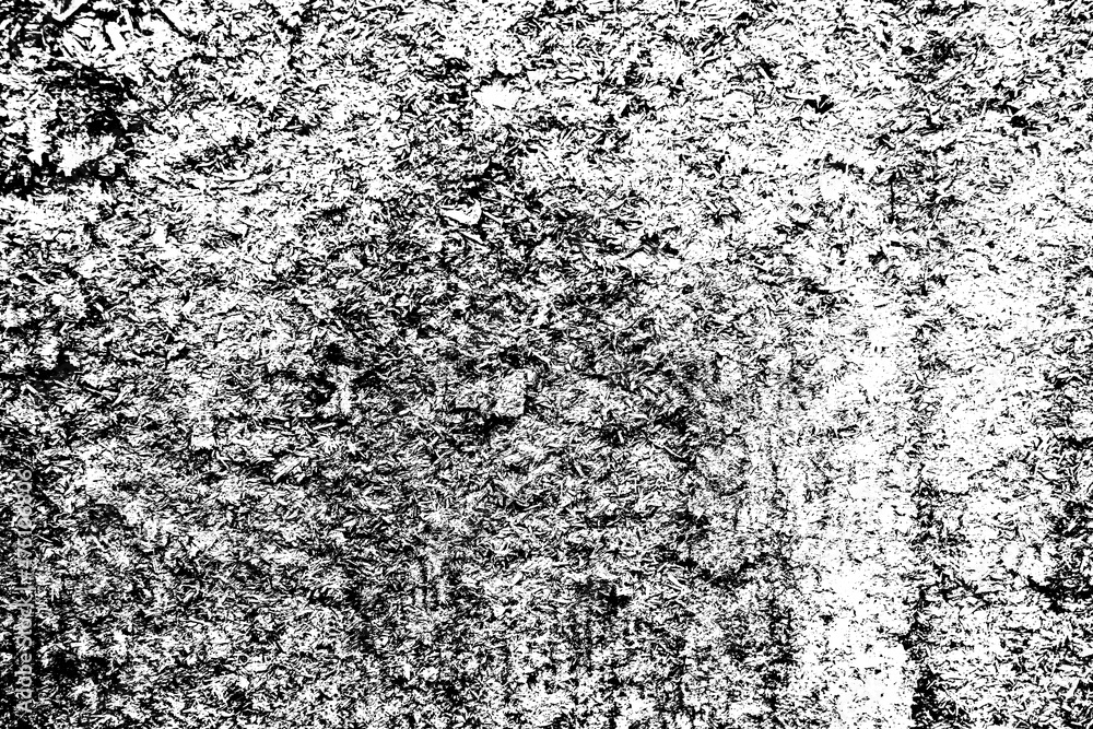 Obraz premium black and white texture - grunge background for graphic