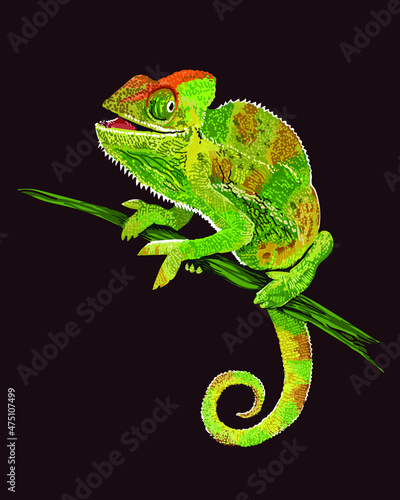Drawing chameleon, art.illustration, camouflage reptile, vector