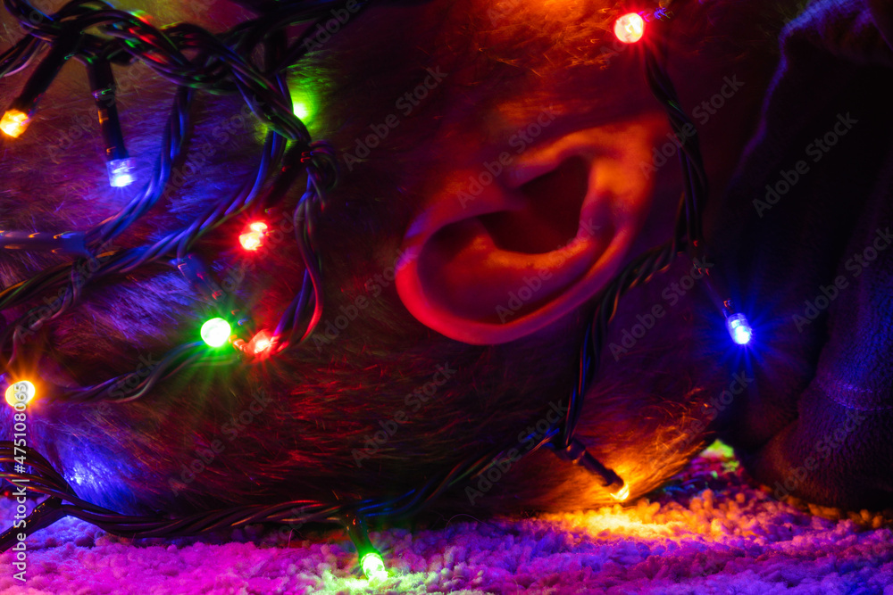 Men face close up with Christmas lights on his head. Men face close up with Christmas lights on his head.
