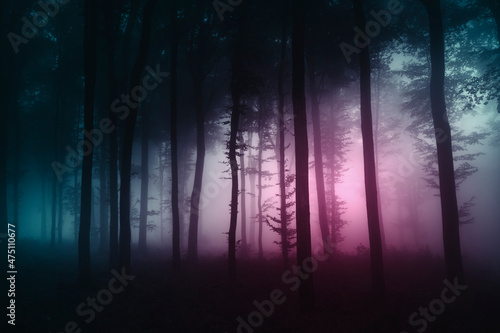 strange light in dark woods, fantasy landscape Fotobehang
