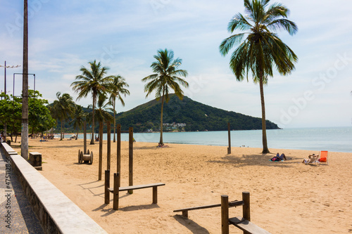 beach coconut trees sea mountain