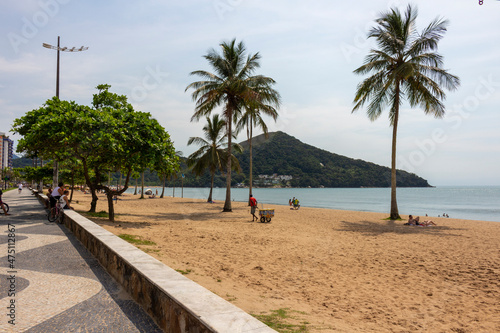 beach coconut trees sea mountain
