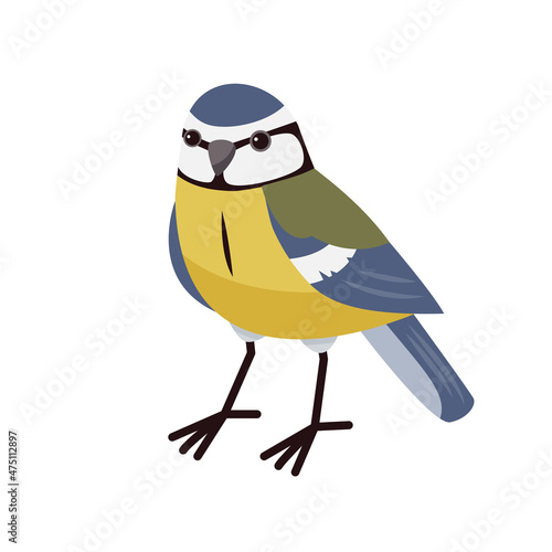 Blue tit in cartoon style isolated on a white background. Winter birds. 