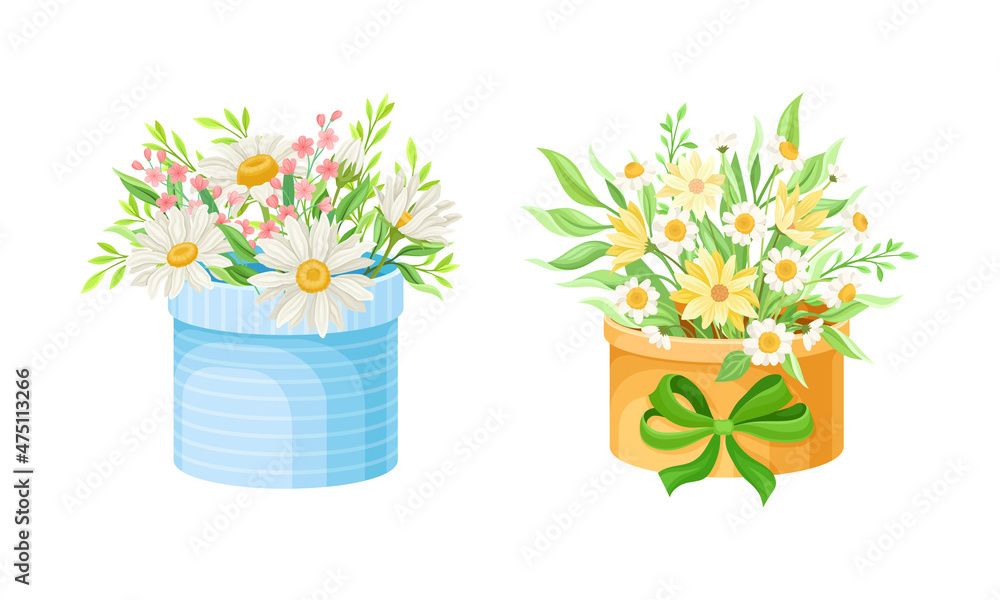 Bouquets of beautiful chamomiles and wildflowers in boxes set vector illustration
