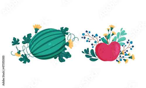 Fototapeta Naklejka Na Ścianę i Meble -  Fresh ripe watermelon and appple among grass, flowers and berries set vector illustration