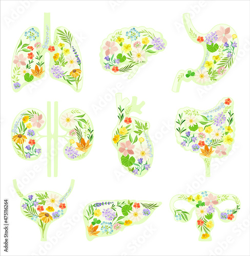 Healthy blooming human internal organs set. Anatomical lungs, bladder, heart, kidneys, liver, bladder, stomach with flowers and leaves vector illustration