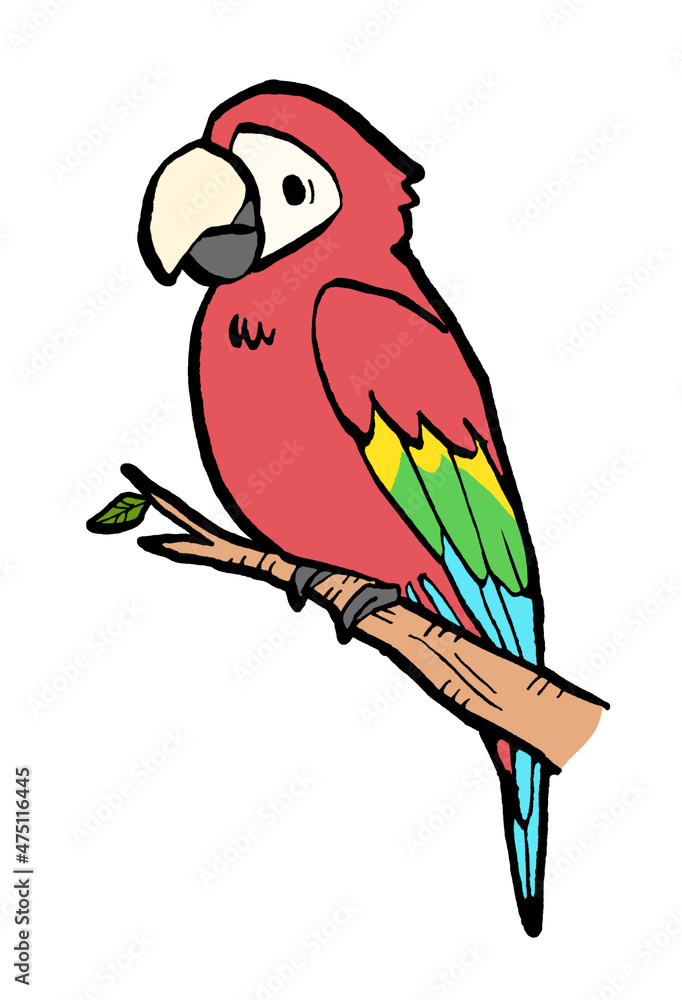 ベニコンゴウインコの手描きイラスト Stock Illustration Adobe Stock