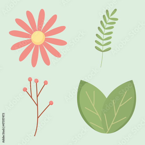 flower and leaves
