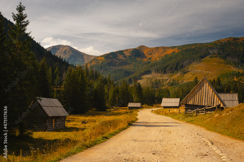 Fototapeta premium Chochołowska Valley in the autumn landscape. Western Tatras in the morning.