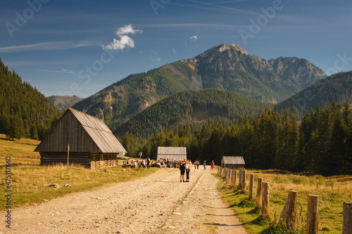 Chochołowska Valley in the autumn landscape. Western Tatras in the morning.
