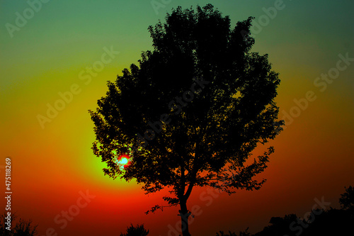 sunset with tree © Hashir