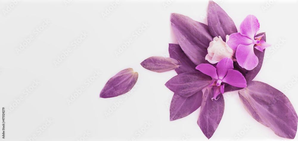 background greeting card in lilac tones with place for text with orchids and rose in banner format background greeting card in lilac tones with place for text with orchids and rose in banner format