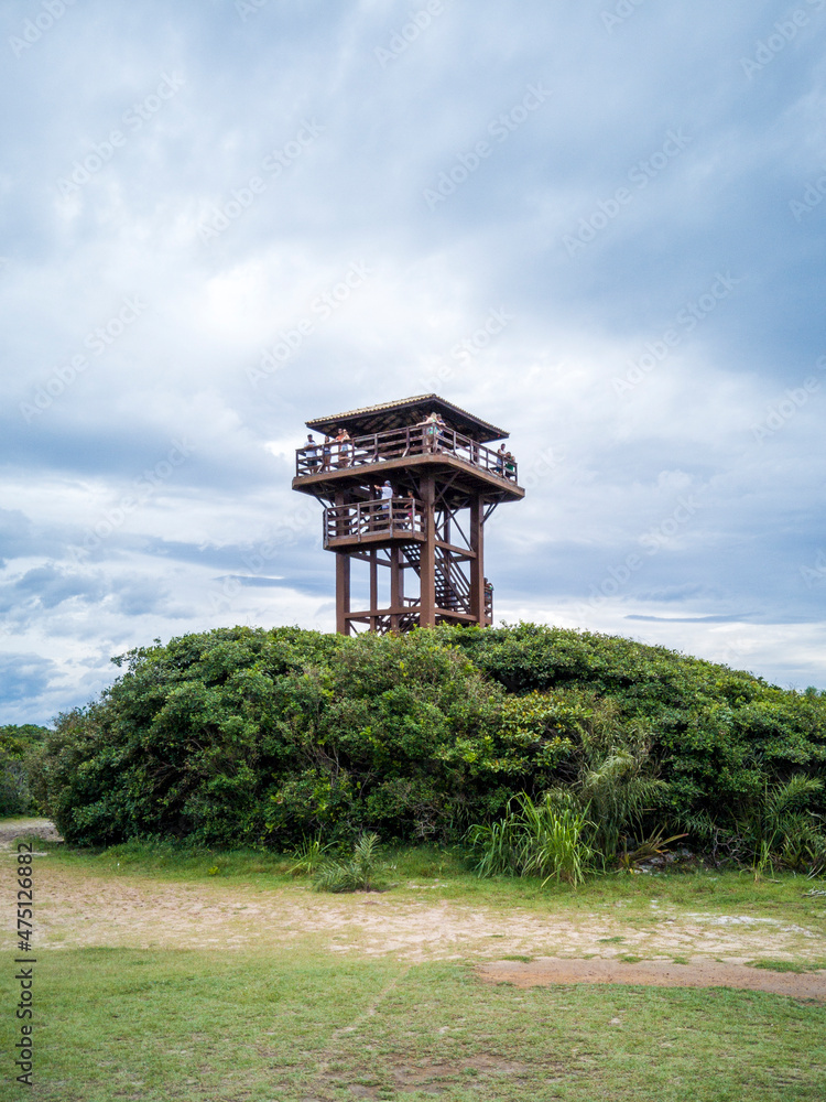 lookout tower in square forest 