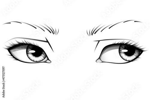 Hand drawn realistic woman eyes with detailed irises, eyebrows and lashes. Typography vector illustration