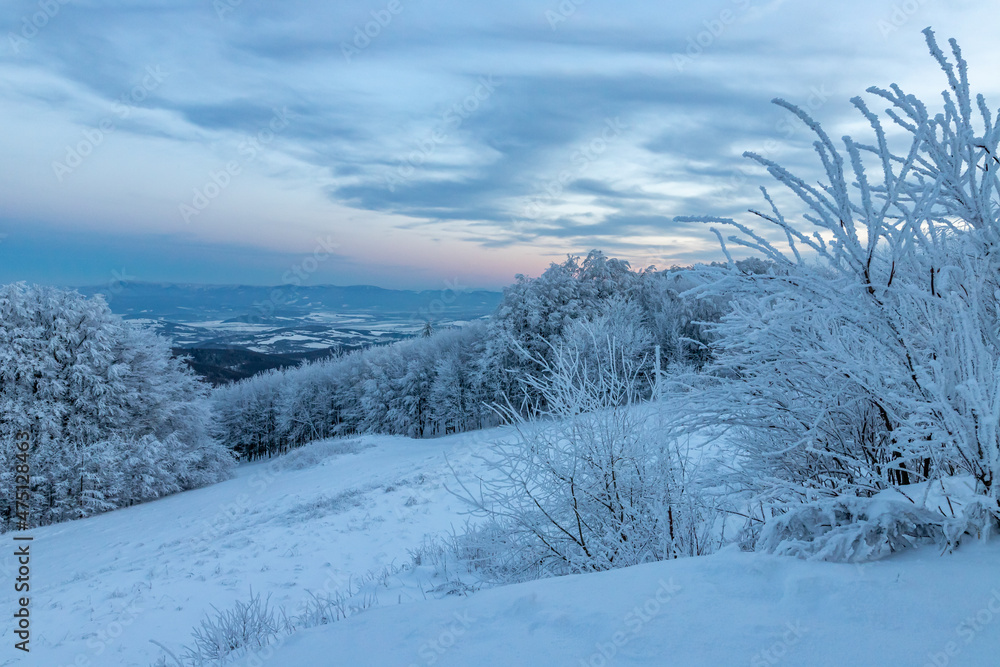 winter sunset blue hour landscape with snow