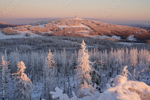 Pastel colored winter wonderland in the Harz National Park, Harz mountains, Germany. Snow-covered forest of Mount Wurmberg near the town of Braunlage, Lower Saxony.  photo