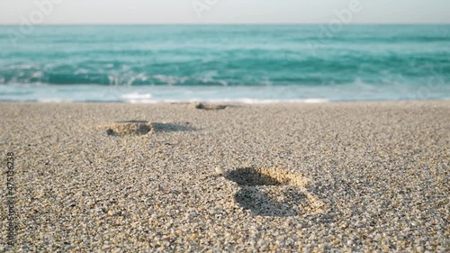 Footprints in the sand going into the birch sea