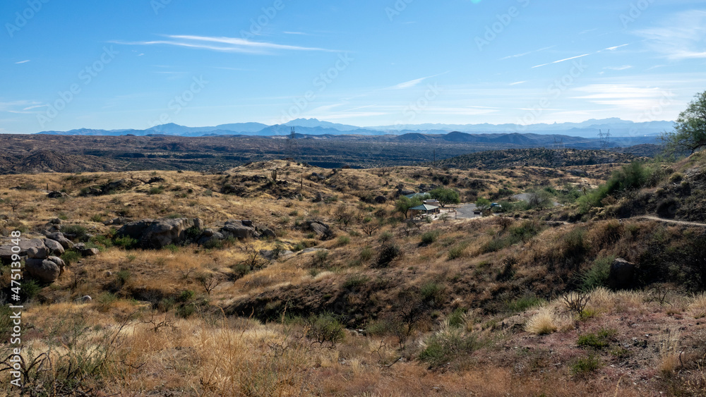 The beautiful Sonora desert in Arizona