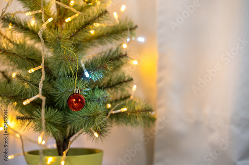 new year gift box with christmas tree background